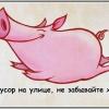 Фотография lox@nako